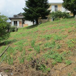 【高森町下市田】農地付き中古住宅のご案内【令和7年11月】 画像17 【高森町下市田】農地付き中古住宅のご案内【令和7年11月】 画像17