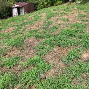 【高森町下市田】農地付き中古住宅のご案内【令和7年11月】 画像5 【高森町下市田】農地付き中古住宅のご案内【令和7年11月】 画像5