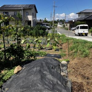 売土地 松川町大島 住宅用地 画像5 売土地 松川町大島 住宅用地 画像5